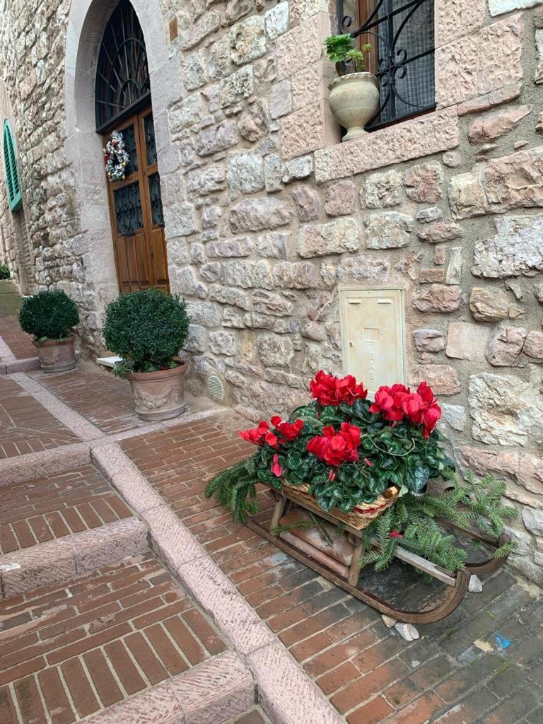 Bed and Breakfast La Zuppa Inglese Assisi Exterior foto