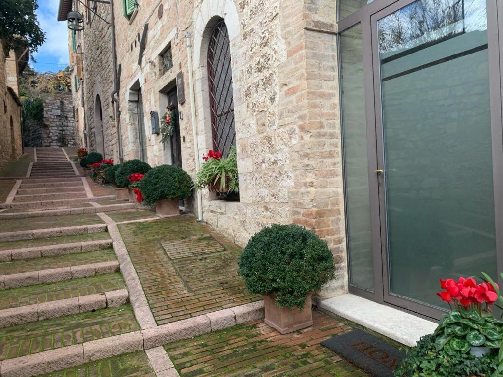 Bed and Breakfast La Zuppa Inglese Assisi Exterior foto